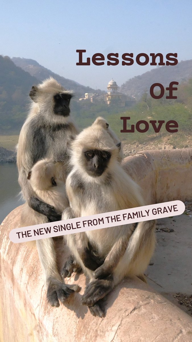 Where goes love, there go monkeys 🐒 😍 🎵 m.youtube.com/watch?v=WtCKxh…