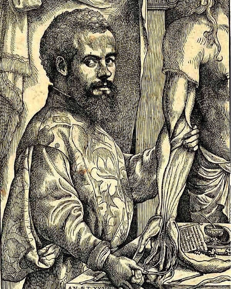 Andreas Vesalius (1514-1564) - anatomist, physician, and author of the influential 'De humani corporis fabric' #histmed #historyofmedicine #anatomy #pastmedicalhistory