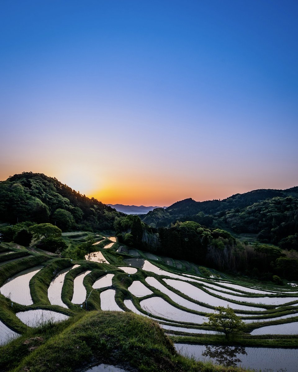 棚田で見る朝日が綺麗