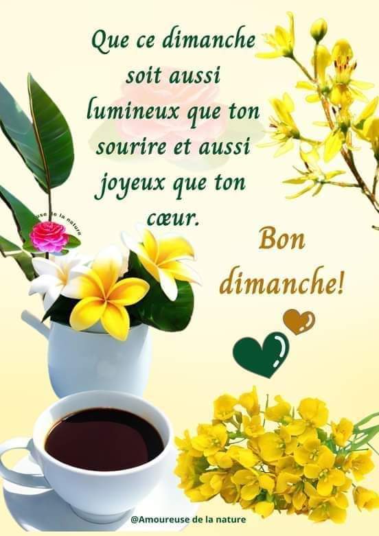 #bonjour #bonnejournée #matin #dimanche #Alger #nature #positivywibes