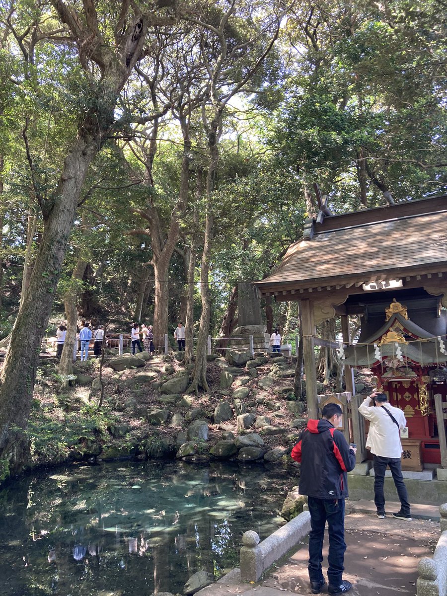 ということで今日は泉神社にお参りして来ました。
水みくじがなんか当たってるかも👀