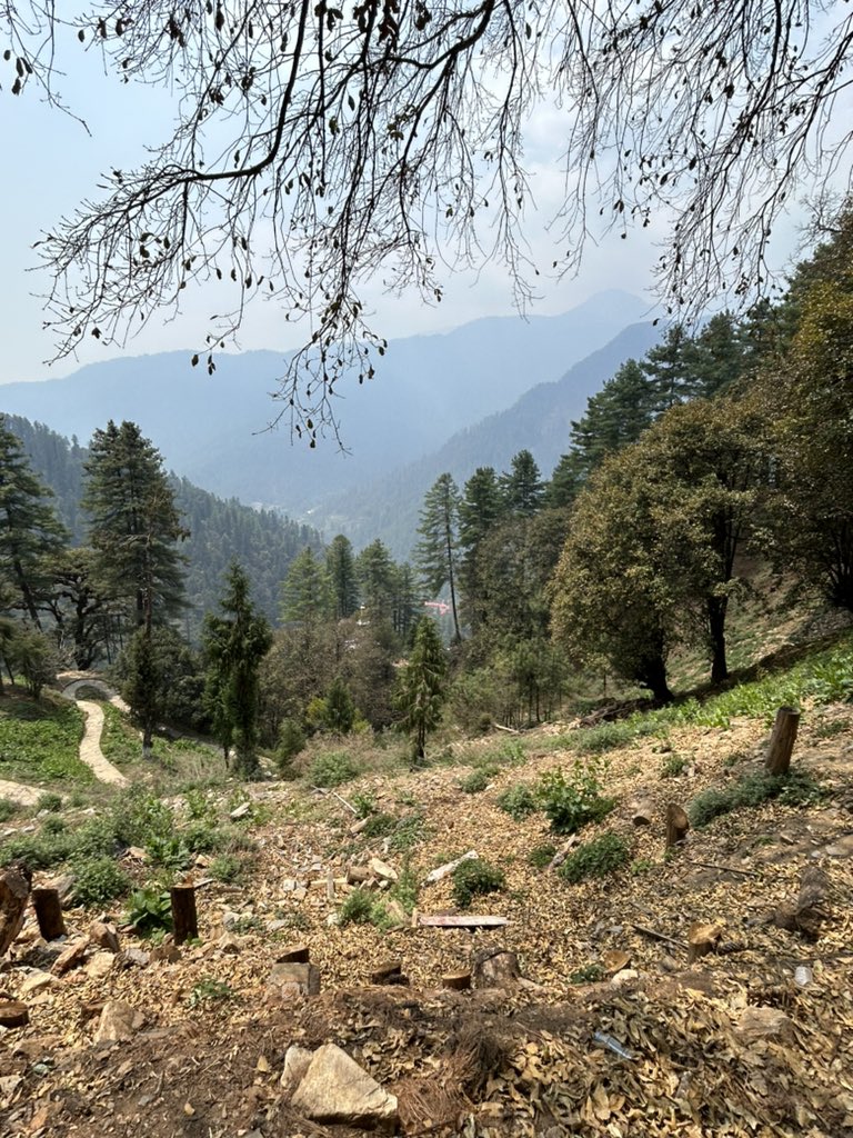 The principles of Buddhism, such as compassion, mindfulness, and non-violence, shaped societal values and guide the personal conduct of Bhutan’s people. What an inspiration to learn from them! Definitely in my next life I will be a Buddhist.