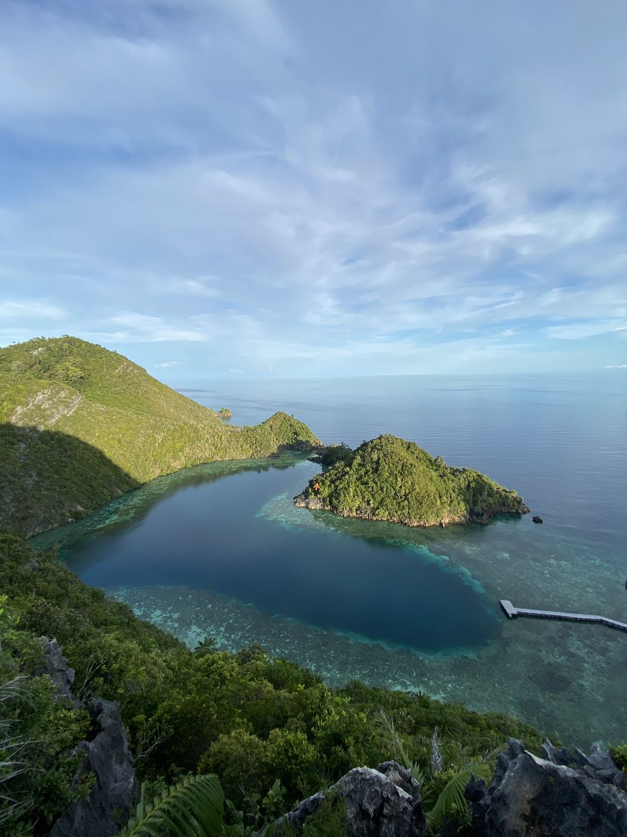 영 🕯️ tweet media