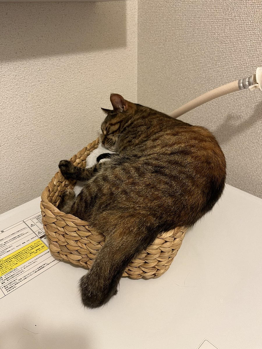ren_to_ran's tweet photo. はみ出てるよ
#れん https://t.co/dTFzwOMXkD