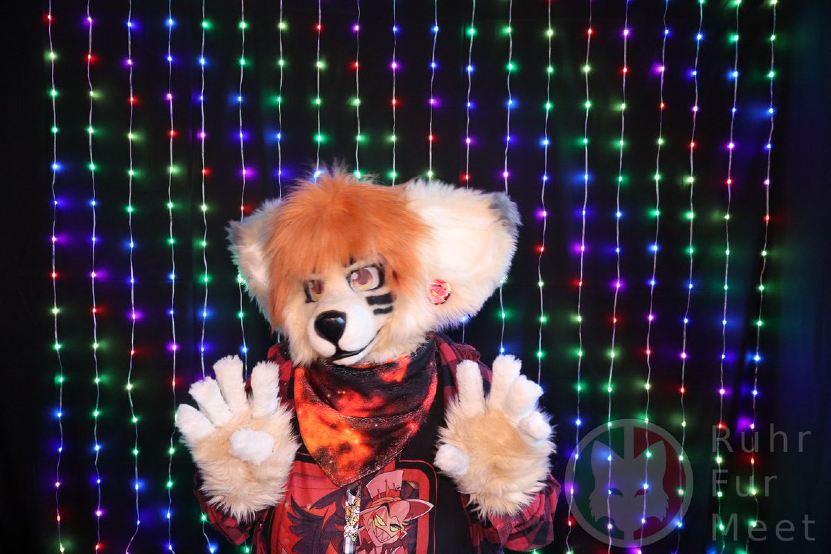 xferoxy's tweet photo. Some Pictures from RuhrFurMeet yesterday x3

✂️ Oneeyeddoe,
the cool fox is by TemplaCreations

#Fursuit #furry #furries #oneeyeddoefursuit #oneeyeddoe #templacreations #foxsuit https://t.co/Wjz7pKzblk
