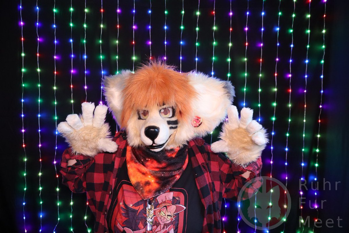 xferoxy's tweet photo. Some Pictures from RuhrFurMeet yesterday x3

✂️ Oneeyeddoe,
the cool fox is by TemplaCreations

#Fursuit #furry #furries #oneeyeddoefursuit #oneeyeddoe #templacreations #foxsuit https://t.co/Wjz7pKzblk