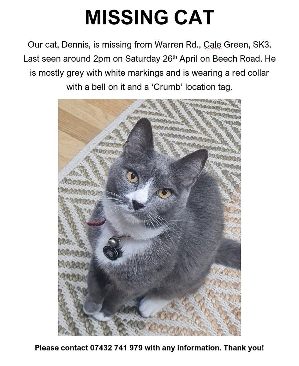 Please keep your eyes peeled for my friend’s cat Dennis. #missingcat #calegreen #ComeHomeDennis