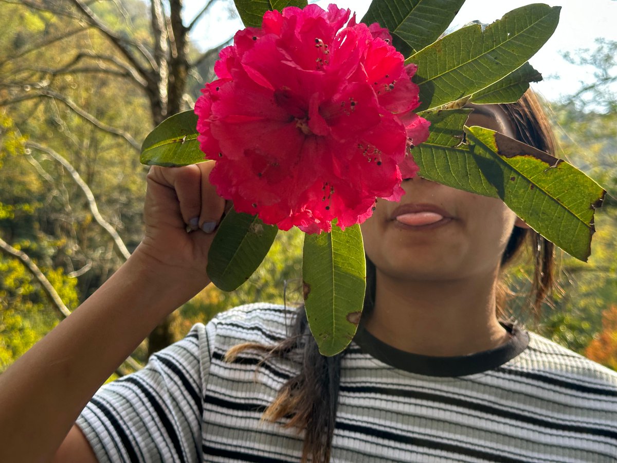 theuunniikk's tweet photo. This magical flower💖
#Burans 🌺
If someone brought me 🌹 rose, I might not have any feelings for him.But if someone brings me a Burans flower, I will give him my heart at that very moment.
The power of burans🥺🥺 https://t.co/IxvkfXVExy