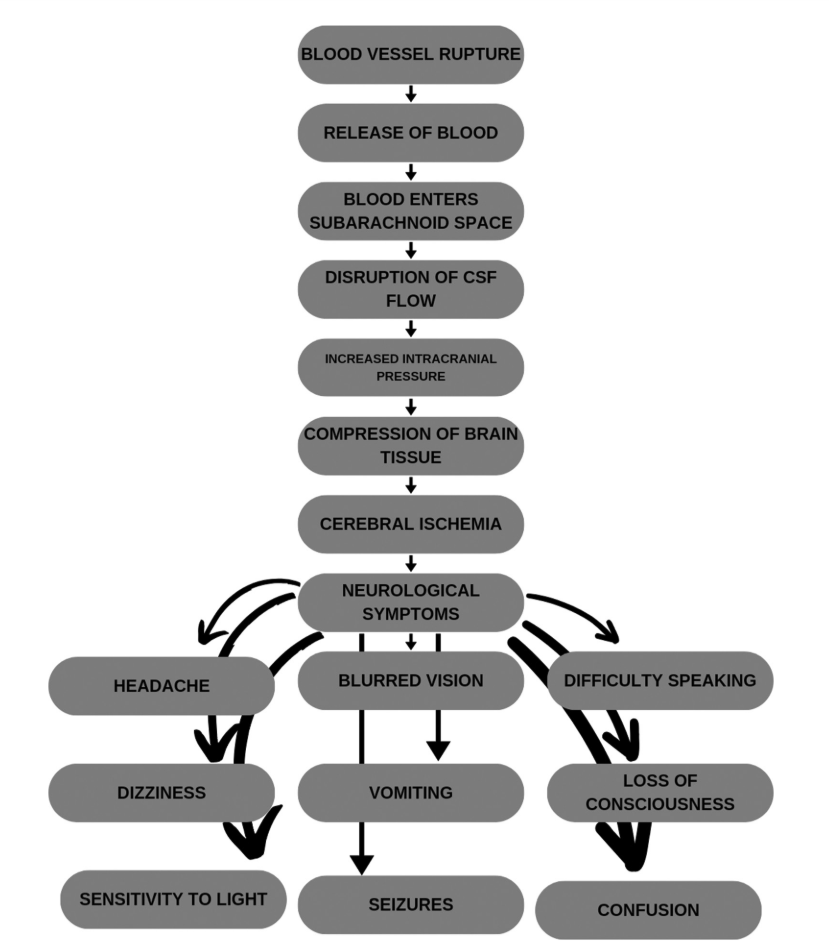 ITPS_ASP's tweet image. 📢Welcome to read the paper &quot;#Therapeutic small molecules in the development of #treatment for #subarachnoid hemorrhage&quot; 
👥By Siddharth Shah et al. 
📖Enjoy reading: doi.org/10.36922/itps.…