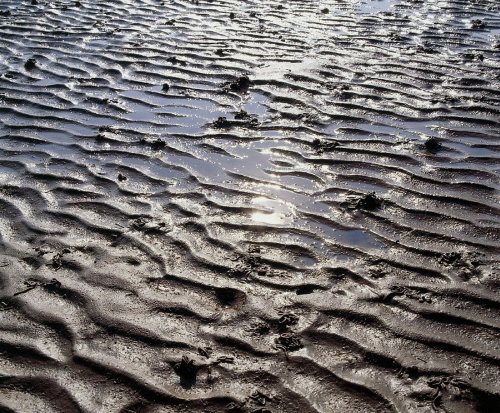 History_of_Geology tweet media