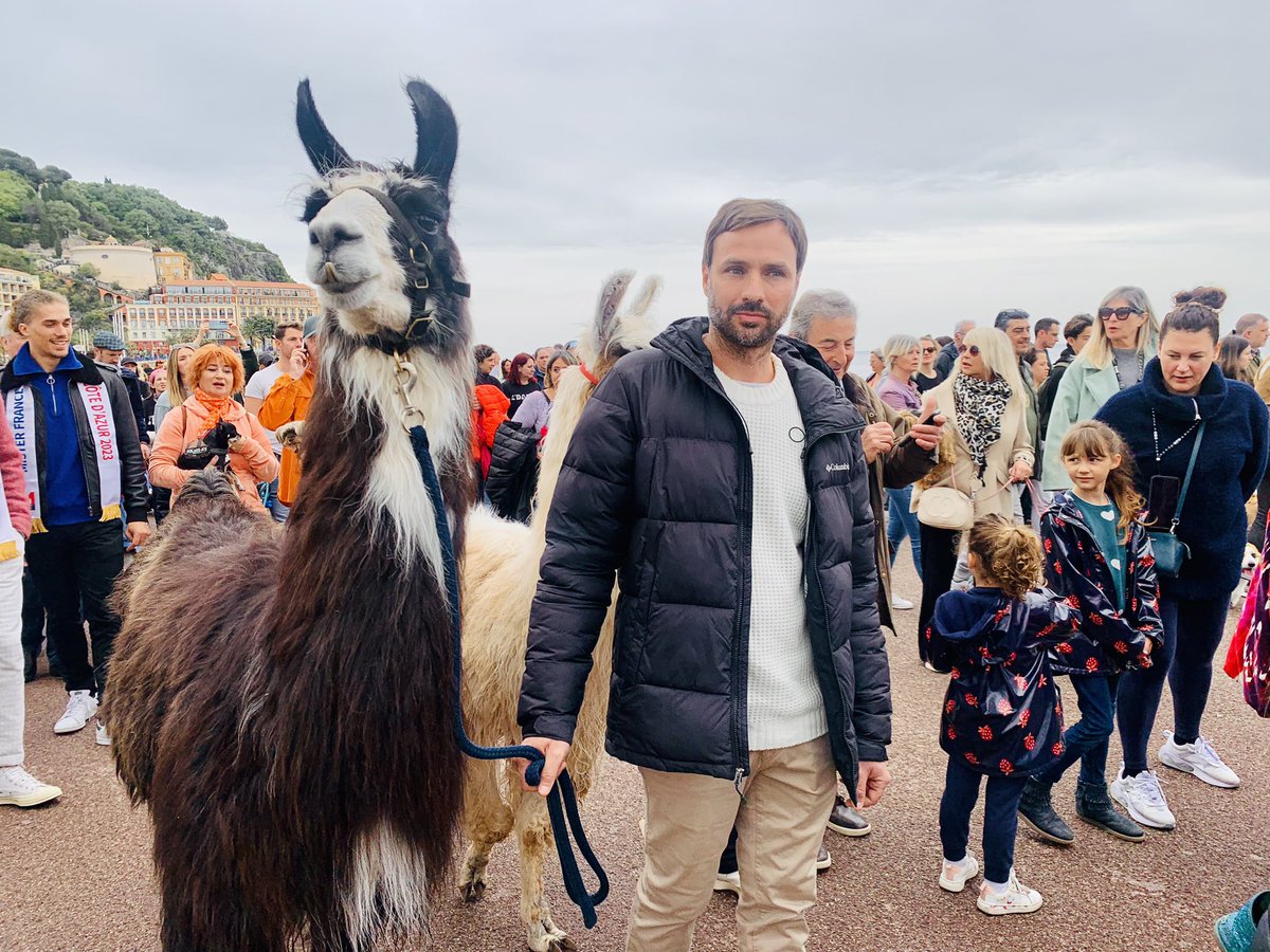 Jules le lama participe à la #Marche des animaux sur la Promenade des Anglais #Nice