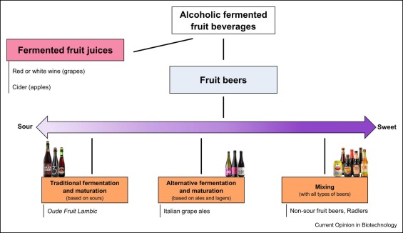 Review! From a themed issue on Food Biotechnology published in Current Opinion in Biotechnology 📑Fruit beers, beers with or without a co-fermentation step with fruits ✍️ Edited by Christoph Wittmann and Ken-ichi Yoshida Full paper 🔽 sciencedirect.com/science/articl…