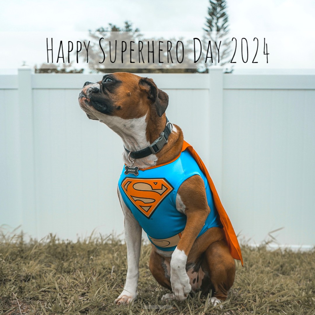 Today is a day to 'honour those who serve & protect while fighting evil. No matter who your favourite hero is, honouring the real or fictional people that inspire us is a worthwhile cause.' - nationaltoday.com/national-super…

#homesittersltd #NationalToday #SuperHeroDay #SuperHero