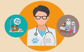 BrightLeafRec's tweet photo. Ref: 7570 Full or Part Time Joint Clinical Director SA Vet near Spalding Salary up to £80k + benefits for full info https://t.co/7hY31KEOdi to apply contact  juliep@brightleaf.co.uk or give us a call at 01422 433900. https://t.co/jNPNKnTgx8
