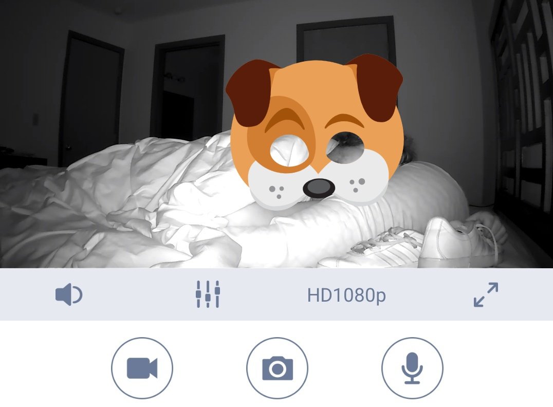PrincessSkyeFD's tweet photo. He still sleeps with my used sneakers next to him🥺❤️ and yes we still have cameras set up like we have the past 4 years. 

@PuppyOfSkye  my desperate little slut❤️ https://t.co/mfTyKdAkU4