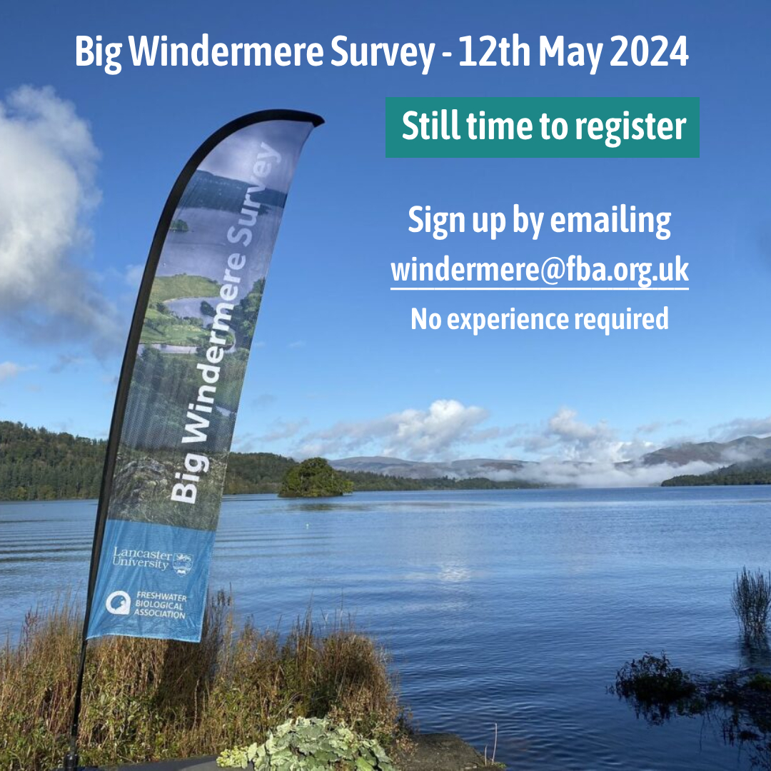 📢It’s not too late to register for the next #BigWindermereSurvey! Get involved and become a #CitizenScientist to help us assess the ecological health of #Windermere 💙 Sign up here: fba.org.uk/volunteer/the-… #FreshwaterScience #WaterQuality
