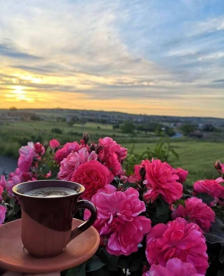 Askile__'s tweet photo. Günaydınn
Güzel geçsin gününüz
Sevilip,sevelim
#Aşkile💕
En mutlu sabahlar seninle başlar 💕
#Mutlupazarlar
#Birkahve
#BirdeSen💕 https://t.co/ipmcULnhcg