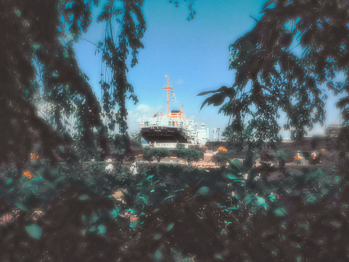 mytypicture's tweet photo. Date
Leica SOFORT 2
#leica
#leicasofort2
#sofort2
#summar
#leicasummar
#summarf2
#Hybridinstantcamera
#28mmの世界
#leicaworld
#ライカ
#ライカズマールf2
#ズマール
#ライカゾフォート2
#ゾフォート2
#山下公園
#氷川丸
#横浜
#みなとみらい https://t.co/nvutpZJkag