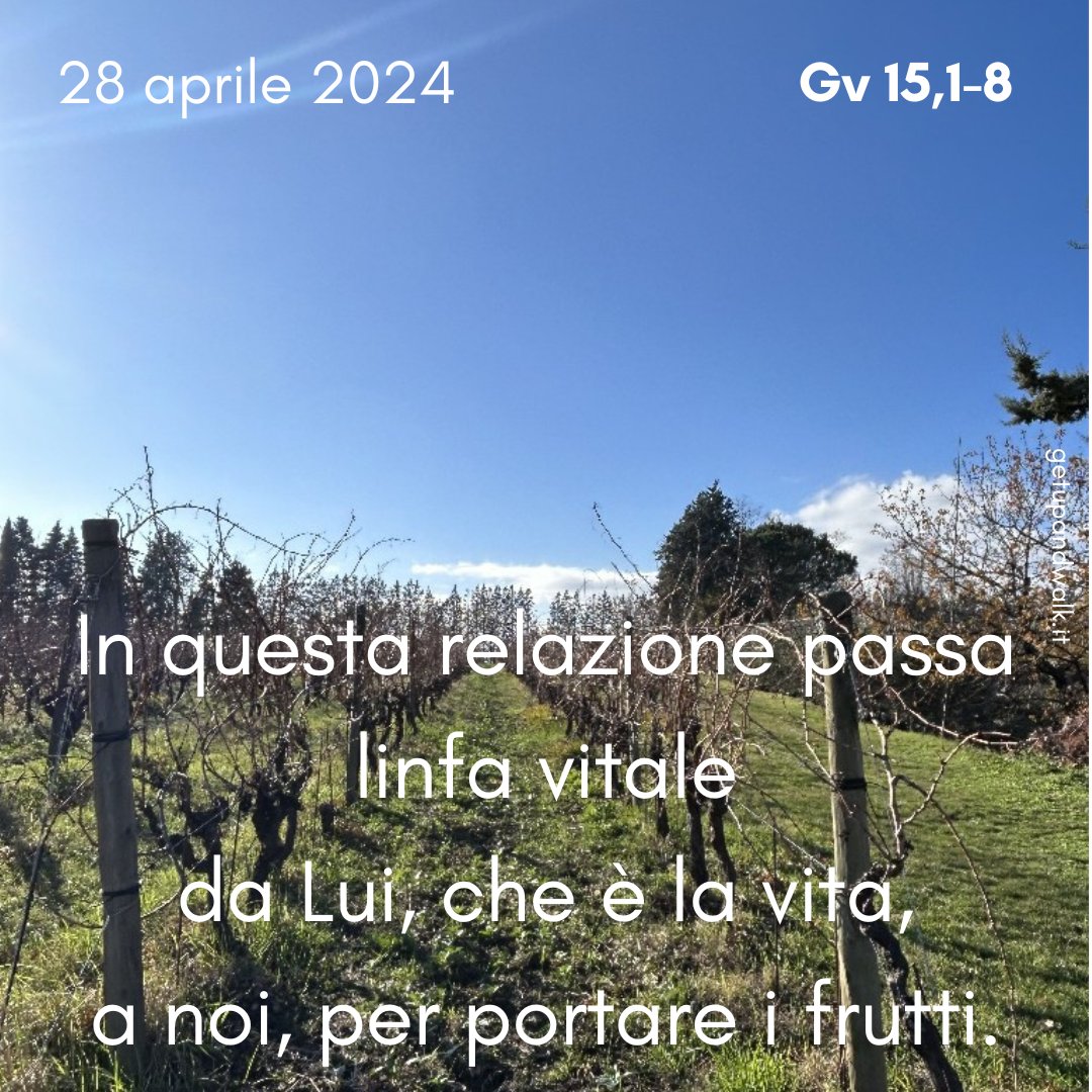 _getupandwalk_'s tweet photo. Non è il #fusto della vite che porta frutto, ma i suoi #tralci. Come il fusto è #fondamentale per i suoi tralci, per la #linfa, anche i tralci lo sono per il fusto, per i suoi frutti.
https://t.co/qzk3jpnibZ https://t.co/BQyFrk0GxY