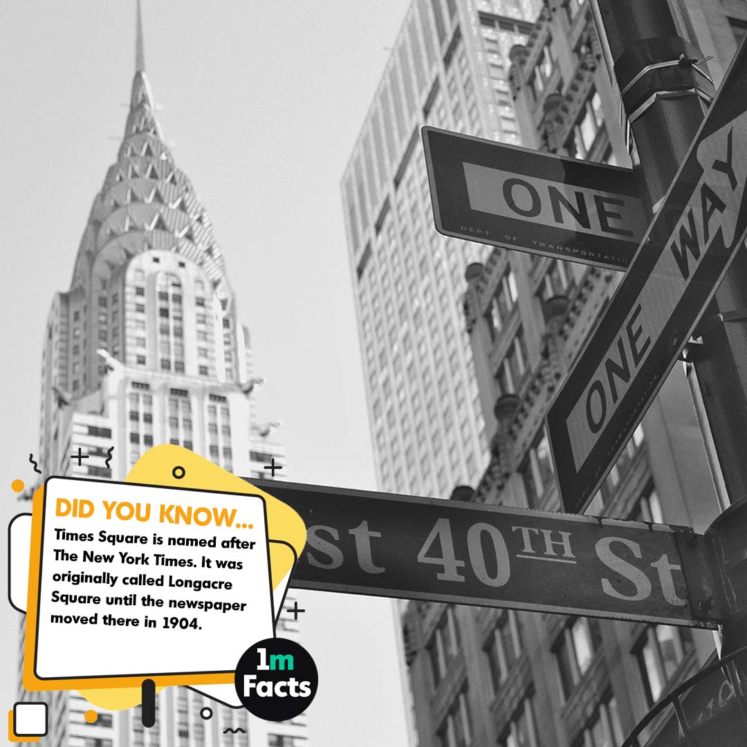 Unmasking the Empire State: 50 Intriguing Facts About New York
1mfacts.com/unmasking-the-…
#NYC #NewYorkCity #BigApple #ConcreteJungle #EmpireState #ILOVENY #NewYorkStateOfMind #NYClife #NYClove #NYCvibes