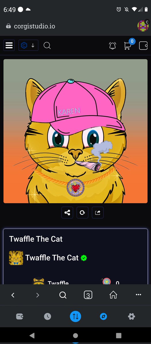 TwaffleTheCat_ tweet picture