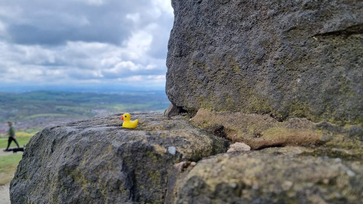 Duck number 9 has gone to see Robert Peel. #wheretheduck #rossendale #ramsbottom