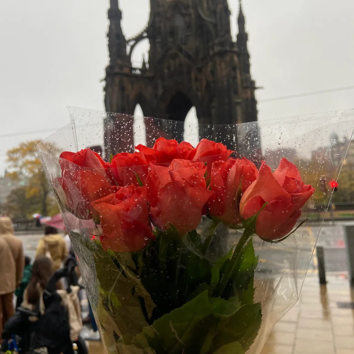 filbertotr's tweet photo. Finding solace in the downpour, every drop whispers serenity🌧🌹 https://t.co/SR1knWV4Bq