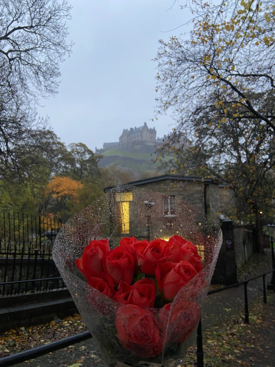 filbertotr's tweet photo. Finding solace in the downpour, every drop whispers serenity🌧🌹 https://t.co/SR1knWV4Bq