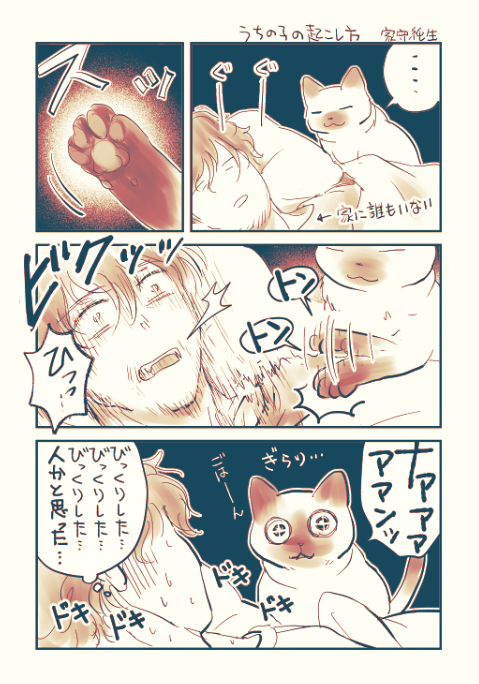 うちの猫、起こす時に電車で寝過ごした人を起こす駅員さんみたいに、肩をトントンッって二回叩く🐱 