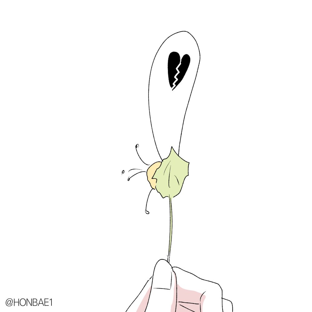 HONBAE1's tweet photo. https://t.co/sLHzbgTvzB