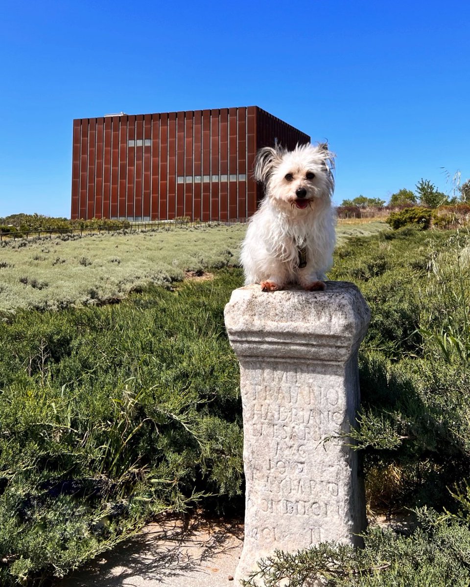 🇹🇷 Sizin gözünüzden Troya Müzesi 🐶 📸 Oğuzhan Karadirek’e (arkeoseyahat) müze ziyaretleri ve paylaşımları için çok teşekkür ediyoruz. 📷 Sen de en iyi fotoğraflarını #Troyamüzesi etiketi ile paylaş. #Haftasonu bu paylaşımı #repost yapalım. #troymuseum #dog #museum #müze