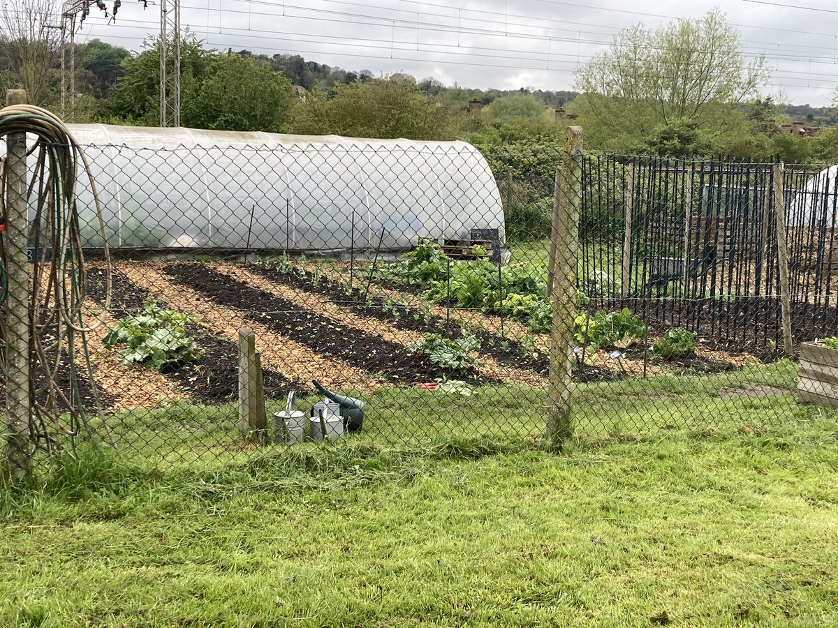 A great visit to @sunnysiderural near Berkhamsted yesterday. Incredible work by young people and adults with learning disabilities through horticultural projects. Bought a dozen eggs  (free range!) and some tomato and courgette plants. We highly recommend a visit! 😁🪴🌱🫛