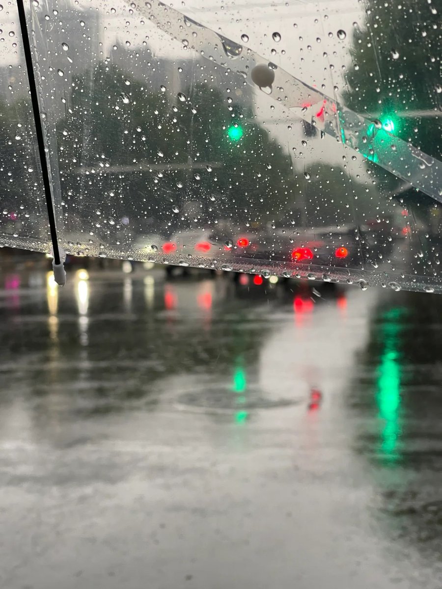 luaar22's tweet image. Finding beauty in the raindrops: