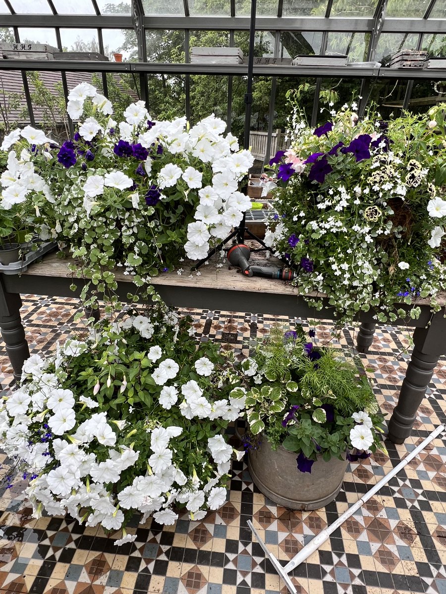 Time to start thinking about Tubs and baskets for the garden, I might just do exactly the same this year as I loved the colours.