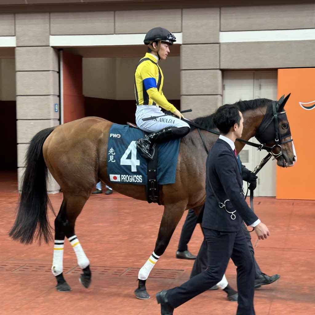 PROGNOSIS his own worst enemy. Likely the best in there. Massive run to be 2nd after that horrible start and taxing mid-race move on this ground.