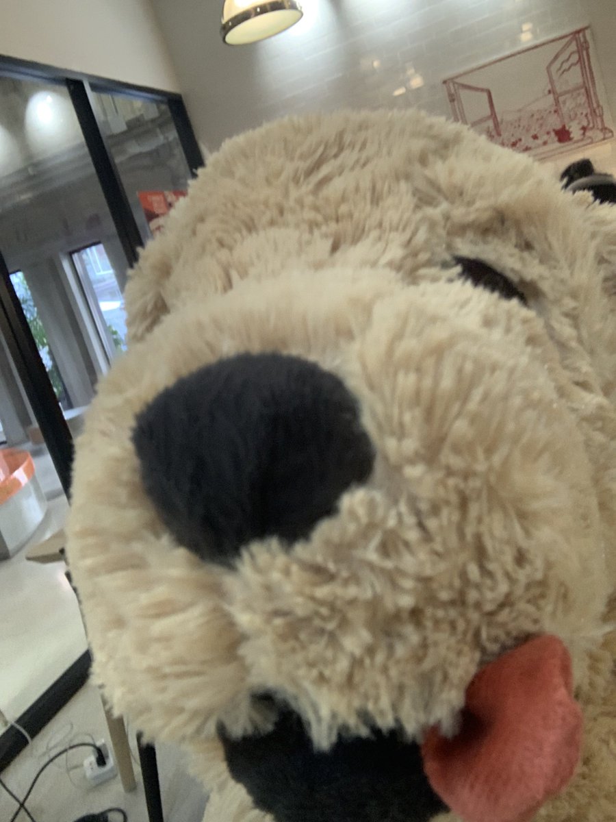 อาโอโมริ ´͈ ᵕ `͈ ♡°◌̊ (@aomoriwish) on Twitter photo 