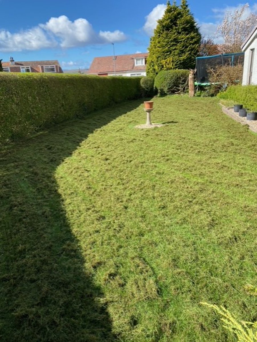 Take THATCH... ✂

@lawn.master.dundee.and.angus  showing off a spring scarification ✔

Book in for your #scarification service today: bit.ly/42XeUft

#LawnShowcaseSunday