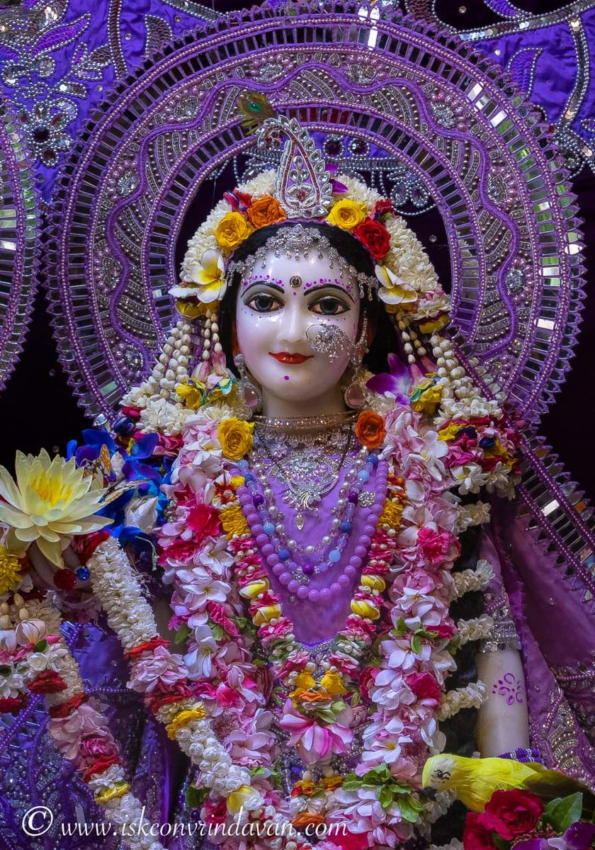 Jai Sri Radhe 🦚🦜🍒🍐🍋‍🟩