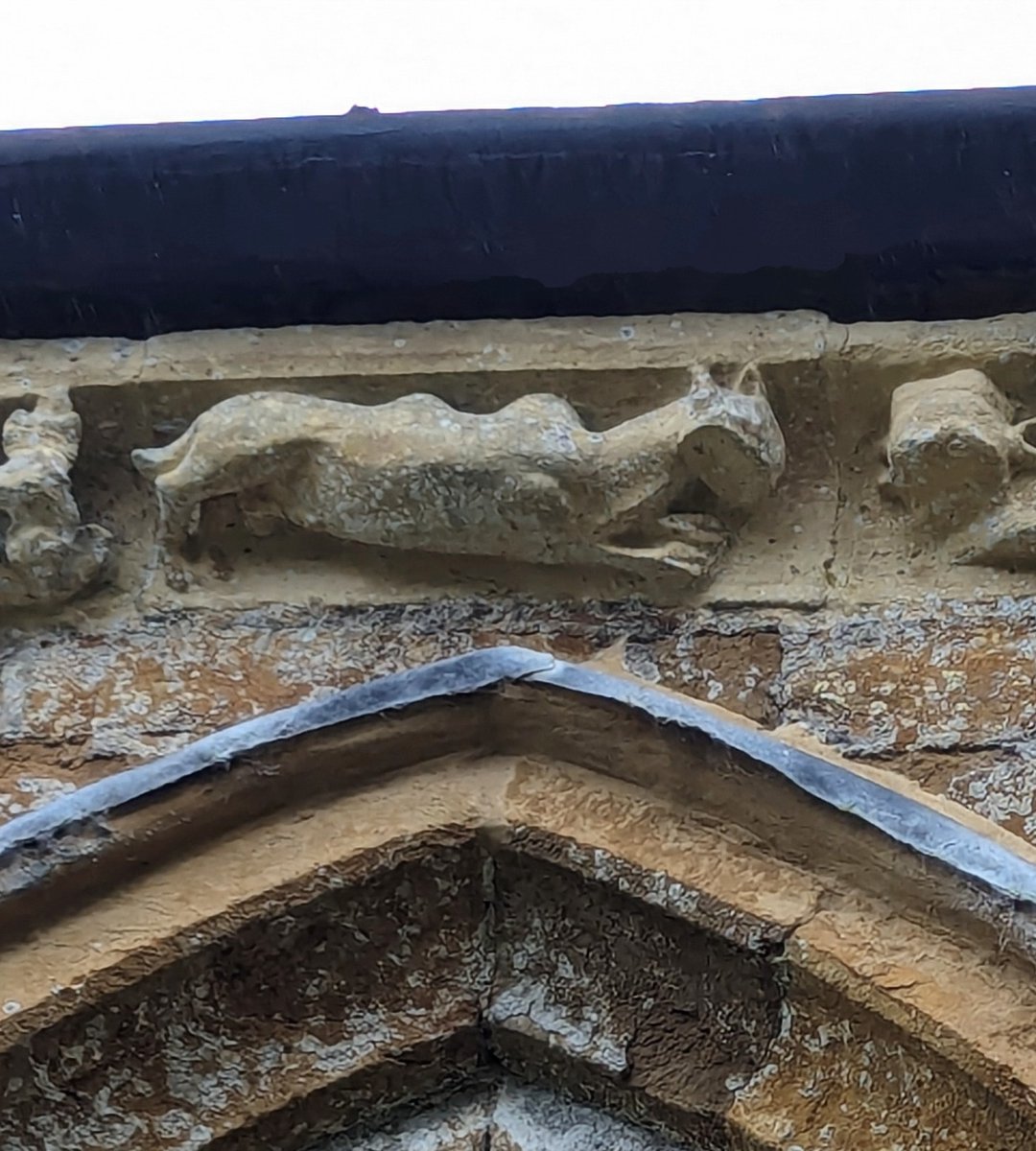 The camel in the corbel table at St Peter's, Hanwell definitely has the hump with the weather, two in fact!
#SundayStonework