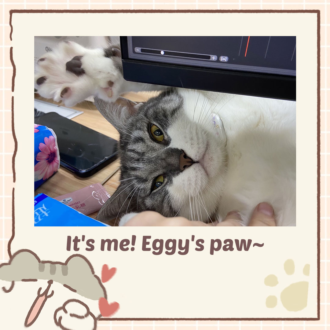🎮Game Time🎮 Bosses, I think you are so familiar with all the cats from Animal Restaurant!😼 So, guess whose paw is this?🐾 #animalrestaurant #gumi #eggy #game #cat