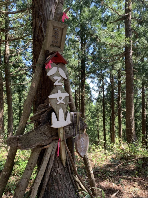 本日の山 富山まで行ってきました。前回の登山で膝やってしまったかもしれず下山が悲惨だった