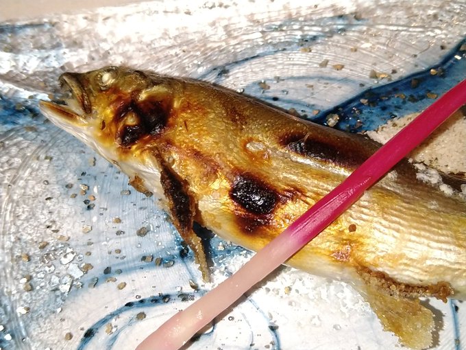 養殖だけど今年の初アユ!! (゜д゜)ンマーイ! アユ大好きマン。 