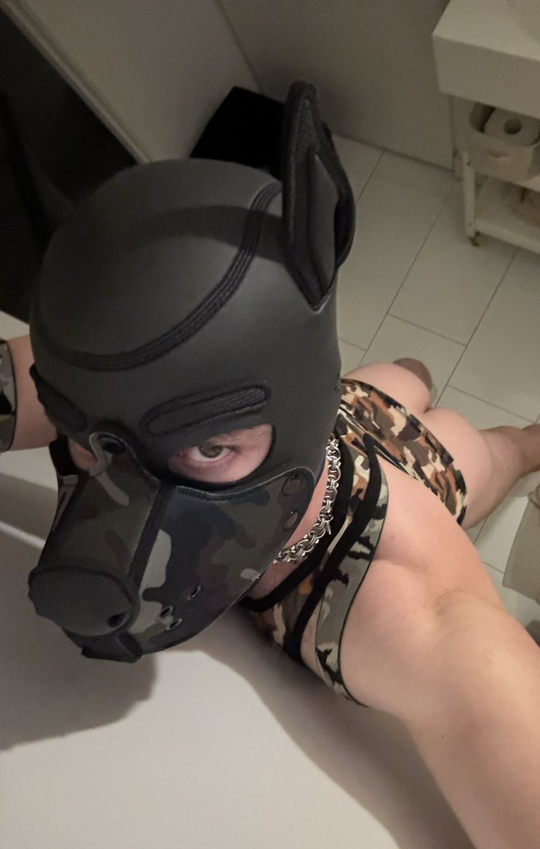 thepupanon's tweet photo. @knot_pup Fuck yes x https://t.co/UGyqjXQfau