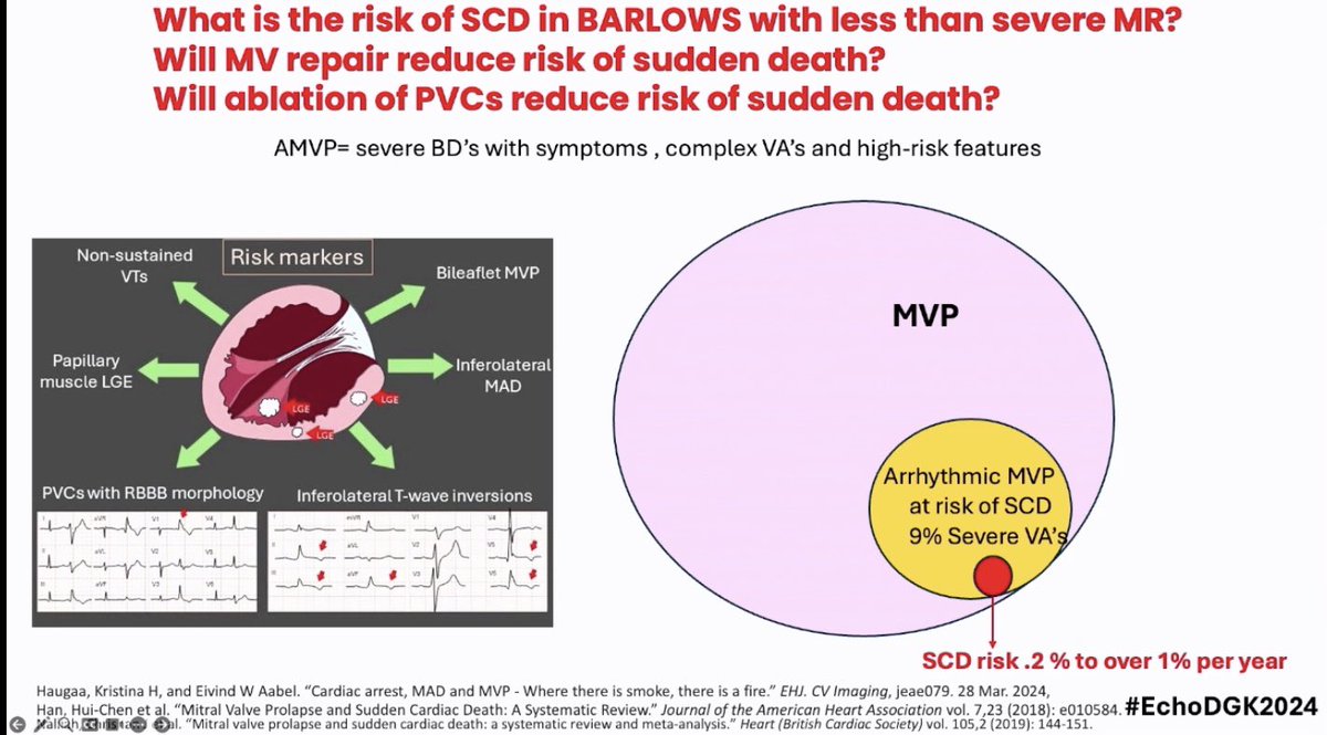 Ekaterina Stellbrink tweet media