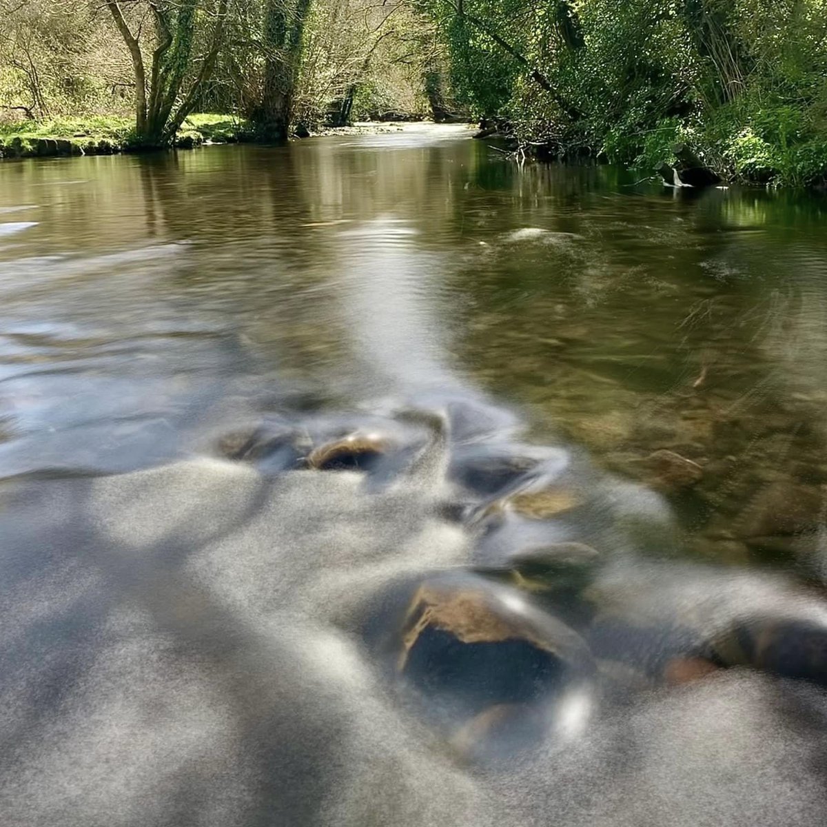 Gushing rivers 🌊 
#river #longexposure #rivererme #ivybridge #riverplym #plymbridge #plymouth #rivertavy #tavistock #riveroke #okehampton #devon #devonrivers #riverside #woodland #riverphotography #hiking #walking #devonwalks #nature 
ange21.picfair.com