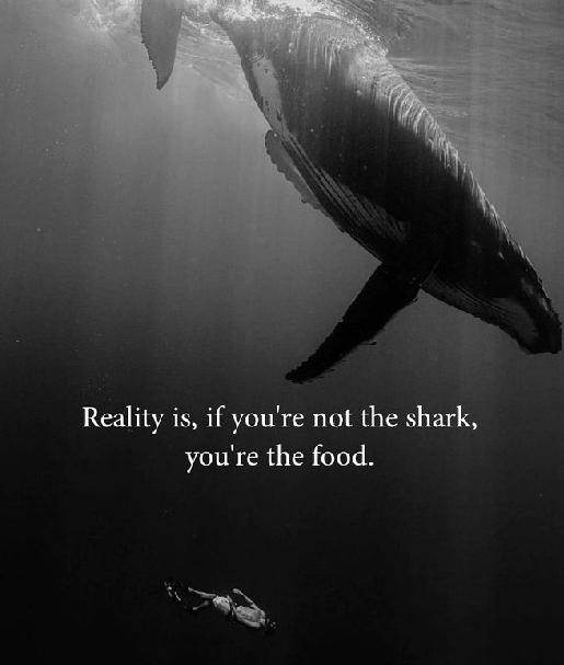Camping__Hacks's tweet photo. True_lines. https://t.co/CKePGtdGB3
