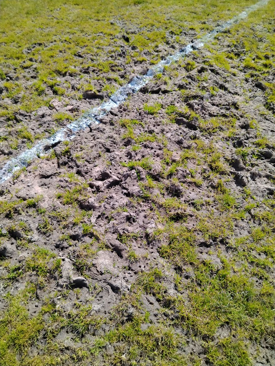 Travelled to Dundalk IT yesterday for a Celtic Challenge game vs Derry, this was the state of the pitch the players had to play on, luckily no one was injured #sortitout