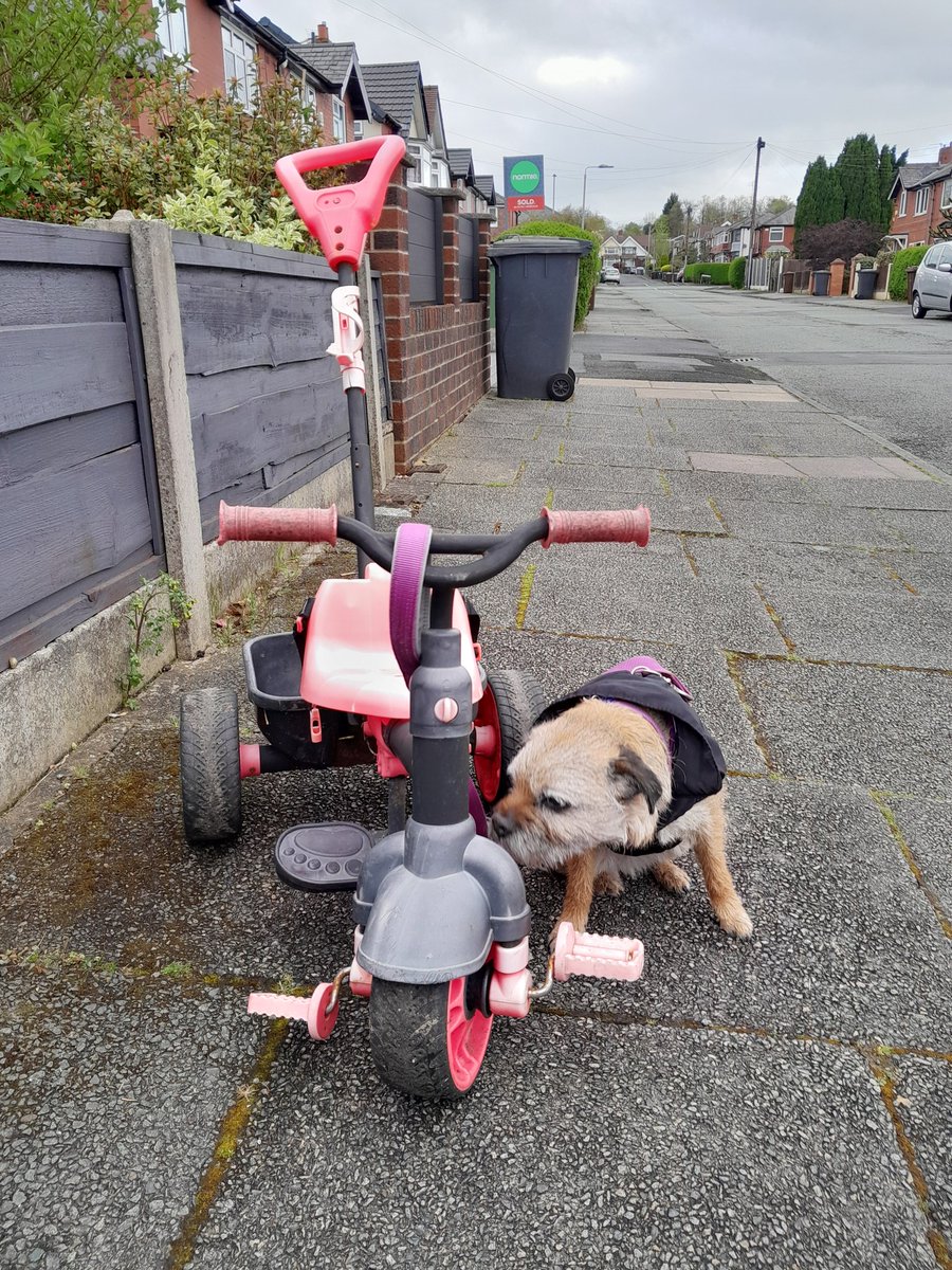 Nope. Even after a good sniff Heidi still doesnt know the right words for the latest wheel-based, vehicular, random shit - abandoned on the streets of Prestwich.  Answers on a postcard/L-Plate please....She's not part exchanging it for her Chariot though! 🛒