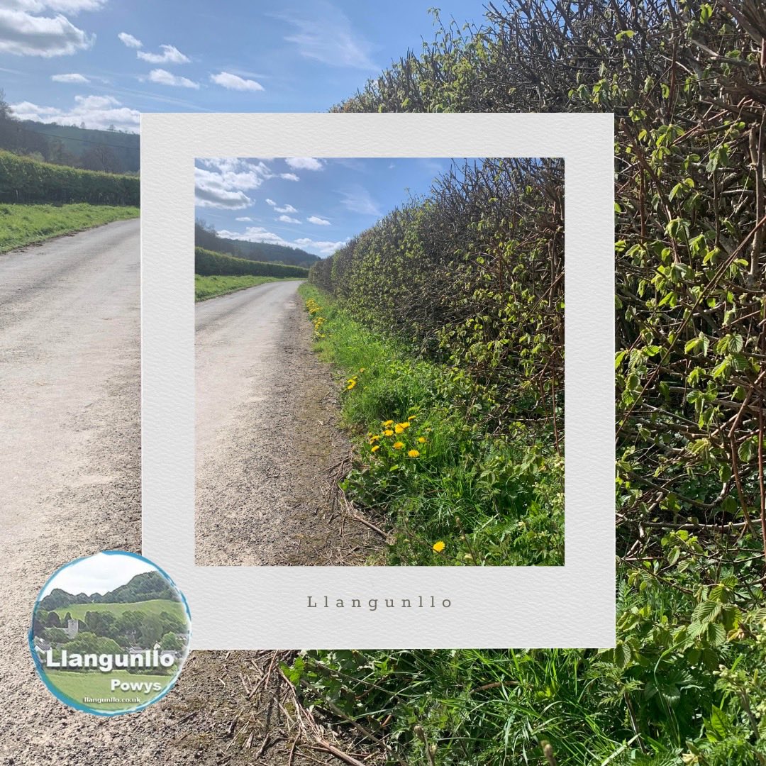LlangunlloVill's tweet photo. Llangunllo. Paradise! #llangunllo #spring https://t.co/GeHKUADWWK