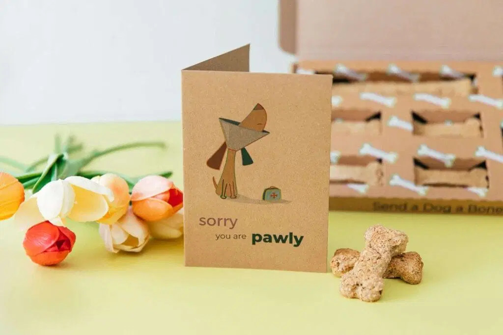 Feeling under the weather? These adorable gift boxes are a thoughtful way to show you care ❤️‍🩹 Packed with healthy natural treats, they are guaranteed to cheer up a pawly pup dotty4paws.co.uk/product/sorry-… #UKgiftAM #doggifts